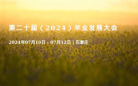 2024年生肖猪运程 2024 羊 運勢